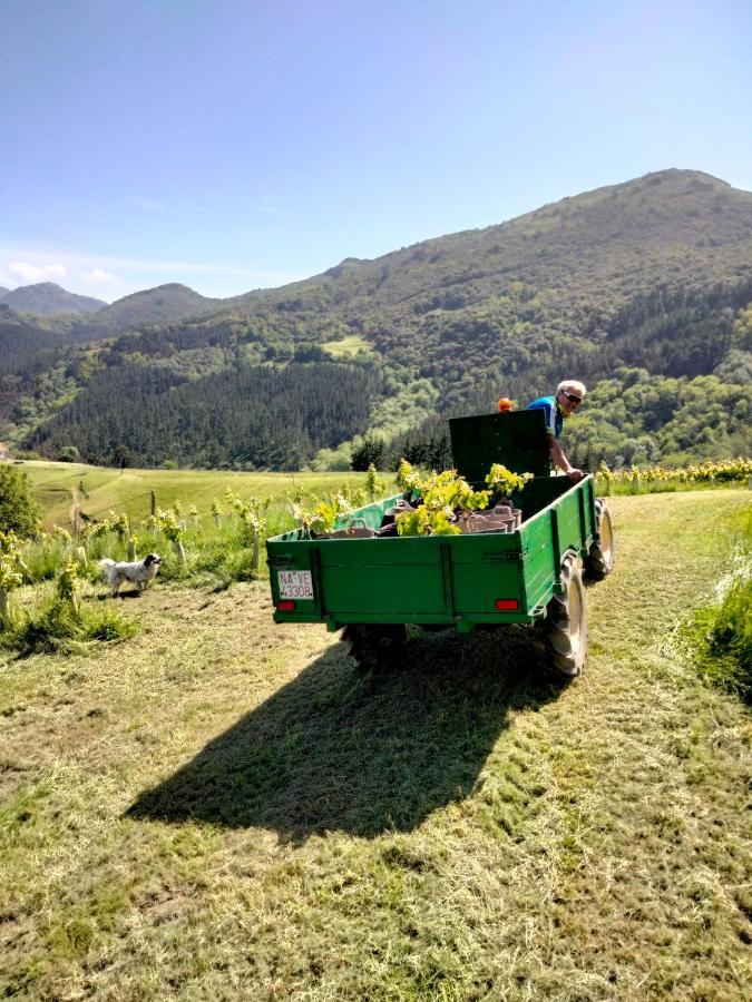 Agroturismo Erlete Goikoa -Estamos En El Camino De Santiago -We Are On The Camino De Santiago Deba Exteriör bild